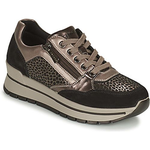 IgI&CO DONNA ANISIA women's Shoes (Trainers) in - IGI&Co - Modalova