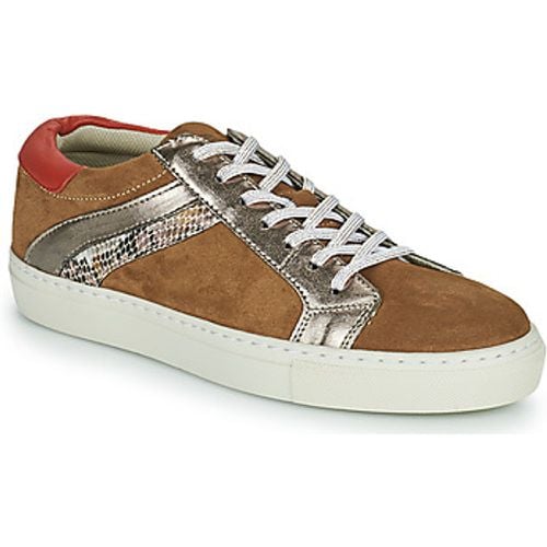 PITINETTE women's Shoes (Trainers) in - Betty London - Modalova