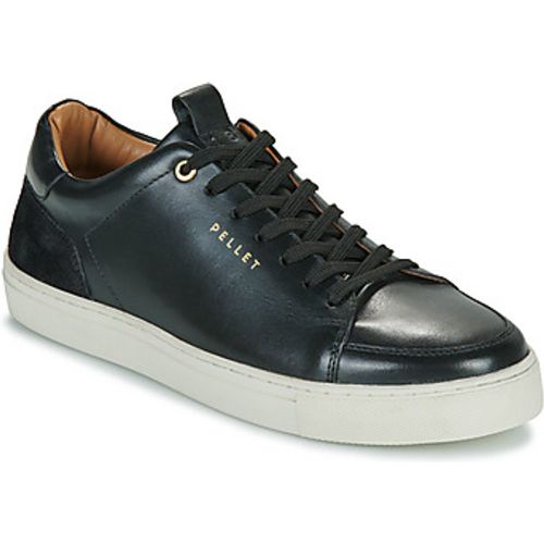 SIMON men's Shoes (Trainers) in - Pellet - Modalova