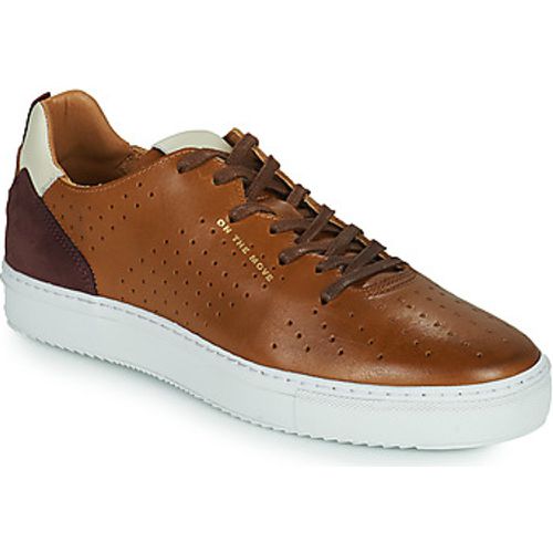 FREDDI men's Shoes (Trainers) in - Carlington - Modalova