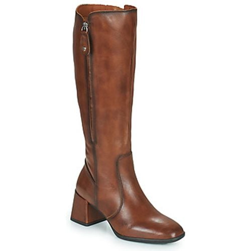 SEVILLA women's High Boots in - Pikolinos - Modalova