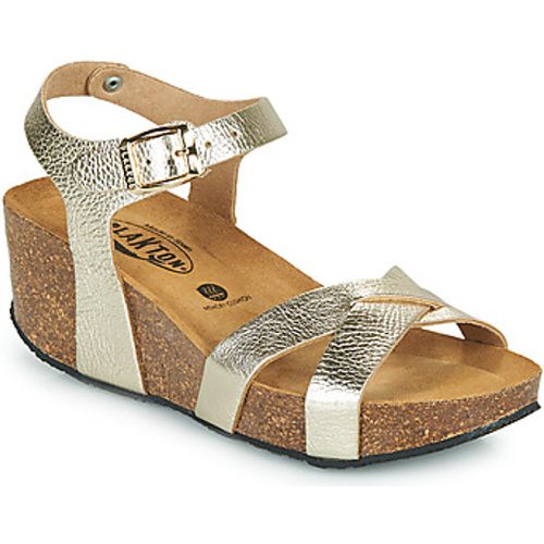 SO FINAL women's Sandals in - Plakton - Modalova