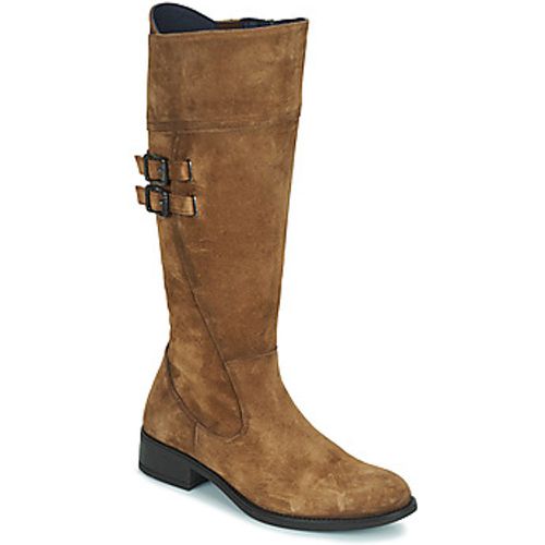 CHAD women's High Boots in - Dorking - Modalova