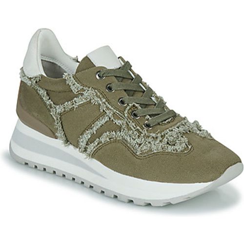 GIEN V4 CANVAS KAKI women's Shoes (Trainers) in - Regard - Modalova