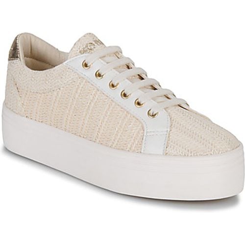 PLATO M BRIDGE women's Shoes (Trainers) in - No Name - Modalova