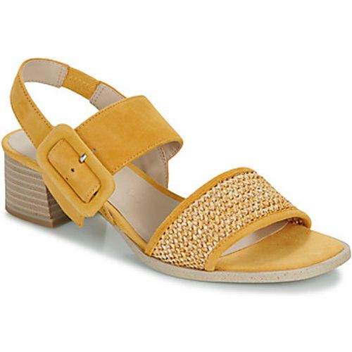 Women's Sandals in - Caprice - Modalova