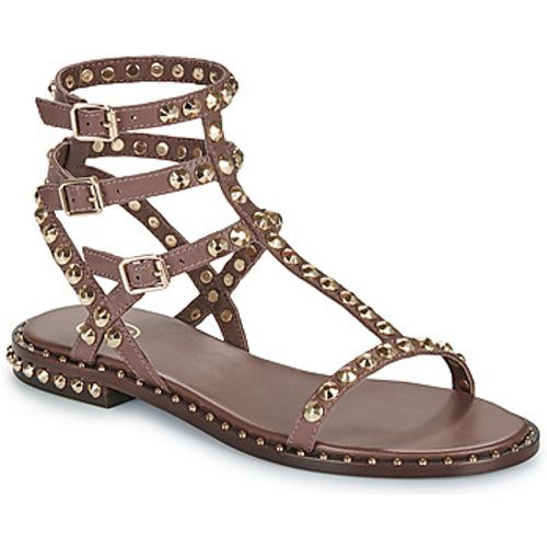 Ash PLAY women's Sandals in Brown - Ash - Modalova