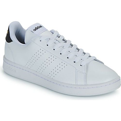 ADVANTAGE women's Shoes (Trainers) in - Adidas - Modalova