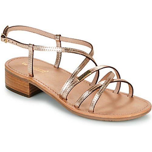 HARRYNA women's Sandals in - Les Tropéziennes par M Belarbi - Modalova