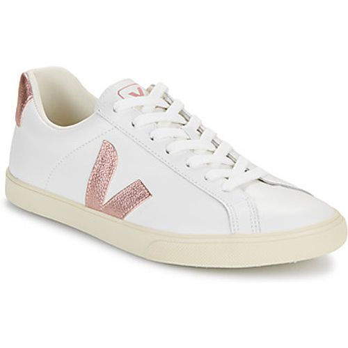 ESPLAR LOGO women's Shoes (Trainers) in - Veja - Modalova