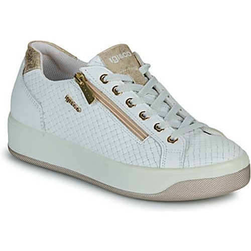 IgI&CO 5658100 women's Shoes (Trainers) in - IGI&Co - Modalova