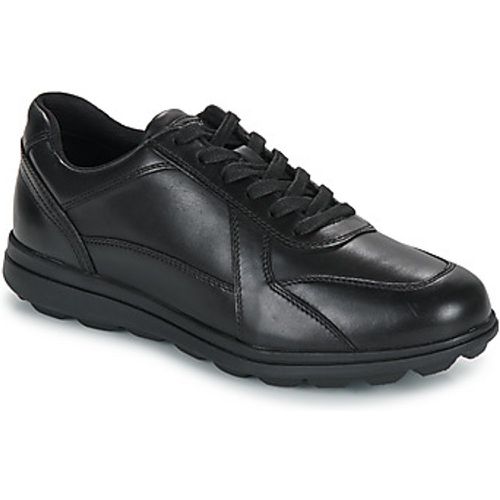 U SPHERICA EC12 men's Casual Shoes in - Geox - Modalova