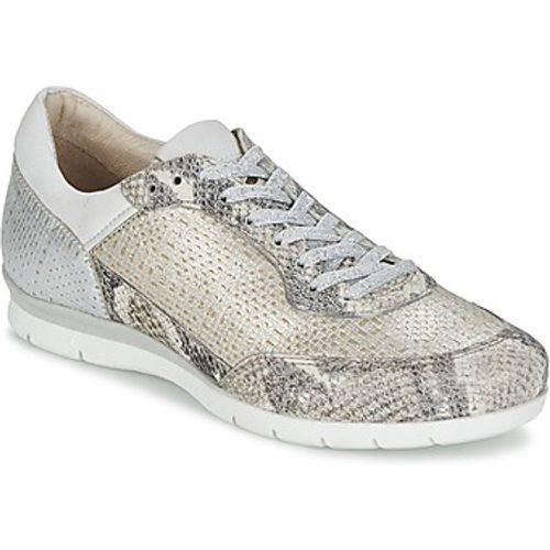 FORCE women's Shoes (Trainers) in - MJUS - Modalova