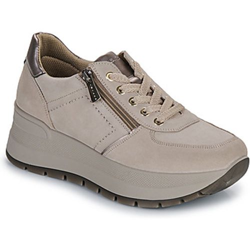 IgI&CO D.KOLA women's Shoes (Trainers) in - IGI&Co - Modalova