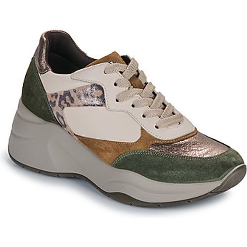 IgI&CO D.ENOLA women's Shoes (Trainers) in - IGI&Co - Modalova