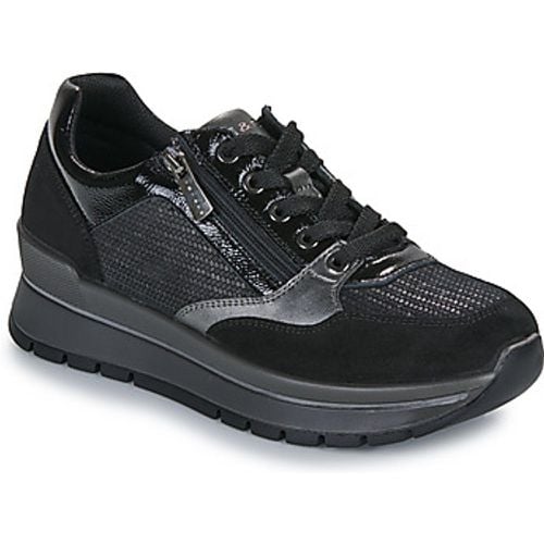 IgI&CO DONNA ANIKA women's Shoes (Trainers) in - IGI&Co - Modalova