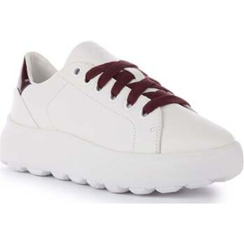 Spherica Ec4.1 Women women's Trainers in - Geox - Modalova