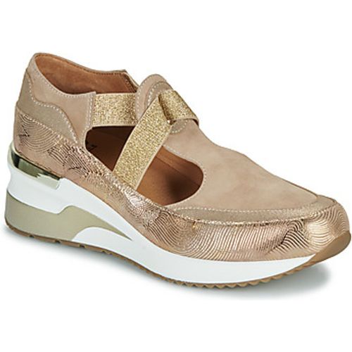 VOTO women's Shoes (Trainers) in - Mam'Zelle - Modalova