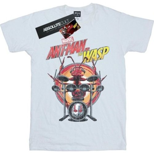 Drummer Ant men's in - Marvel - Modalova
