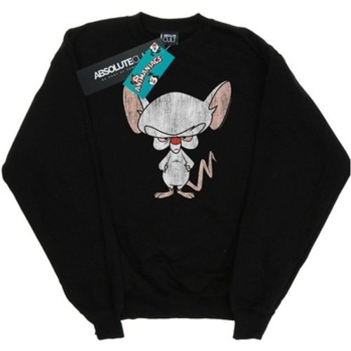 BI8151 men's Sweatshirt in - Animaniacs - Modalova