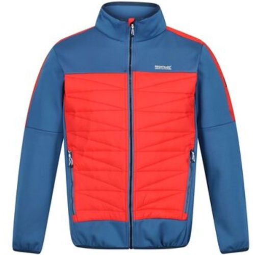 Clumber II men's Jacket in - Regatta - Modalova