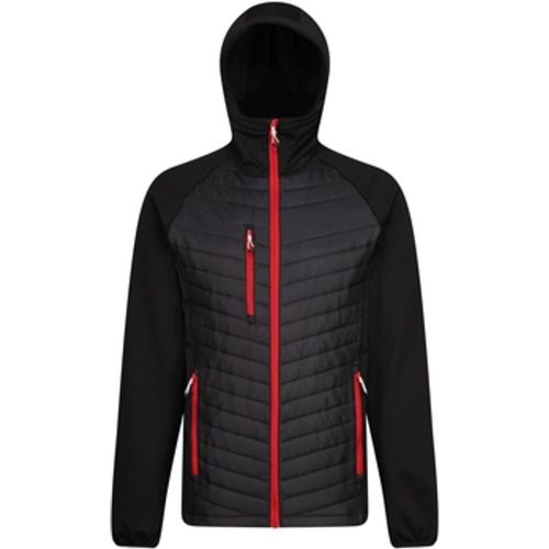 RG9341 men's Jacket in - Regatta - Modalova
