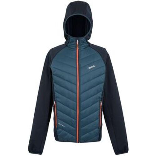 Andreson VIII men's Jacket in - Regatta - Modalova