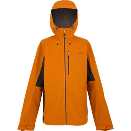Birchdale II men's Jacket in - Regatta - Modalova