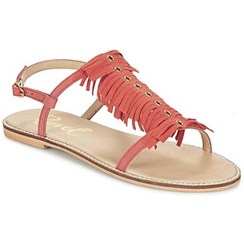 LEXINGTON women's Sandals in - Ravel - Modalova