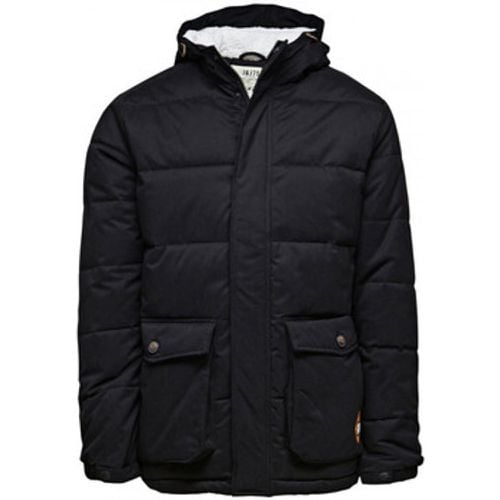 Jack & Jones Daunenjacken 4995 - jack & jones - Modalova