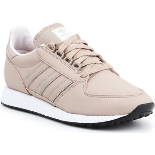 Sneaker Lifestyle Schuhe Forest Grove EE8967 - Adidas - Modalova