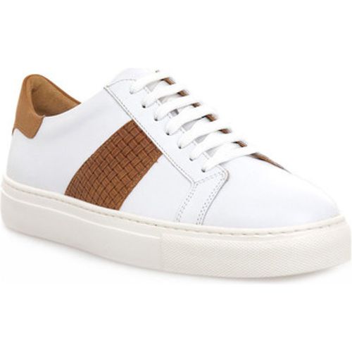 Schuhe COLORADO BIANCO CUOIO - Soldini - Modalova