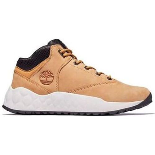 Timberland Herrenschuhe Baskets - Timberland - Modalova