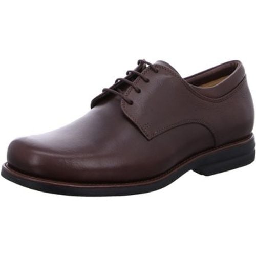 Halbschuhe Schnuerschuhe Niteroi 454501 Brown - Anatomic & Co - Modalova