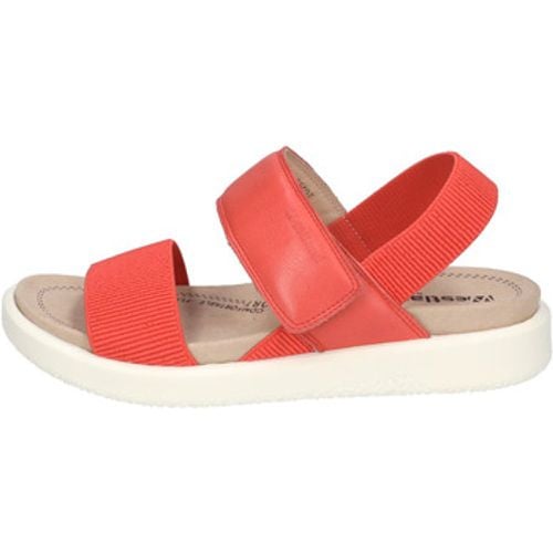 Westland Sandalen Albi 07, rot - Westland - Modalova