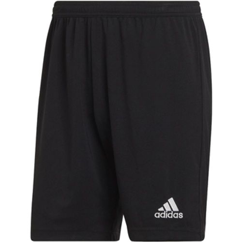 Shorts Entrada 22 Shorts - Adidas - Modalova