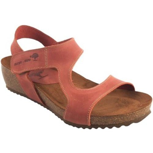 Schuhe INTER BIOS 5316 Damensandale, Farbe: Fliesen - Interbios - Modalova