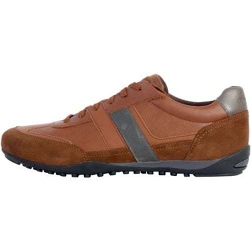 Geox Sneaker 239158 - Geox - Modalova