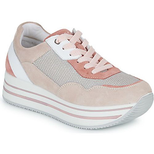 IgI&CO Sneaker DONNA KAY - IGI&Co - Modalova