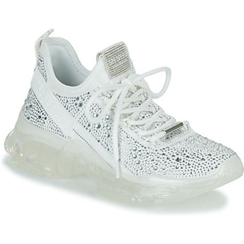 Steve Madden Sneaker MAXIMA-R - Steve Madden - Modalova