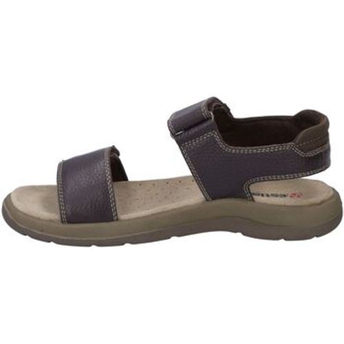 Sandalen Alsace 02, moro-kombi - Westland - Modalova