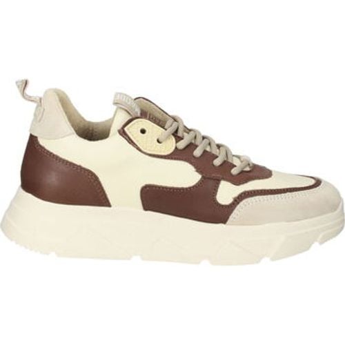 Steve Madden Sneaker Sneaker - Steve Madden - Modalova