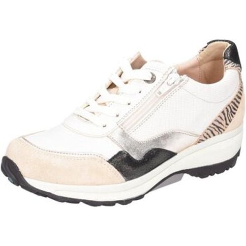 Halbschuhe Schnuerschuhe 30114.2.429 GX sand combi - Xsensible - Modalova