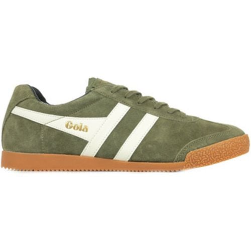 Gola Sneaker Harrier Suede - Gola - Modalova