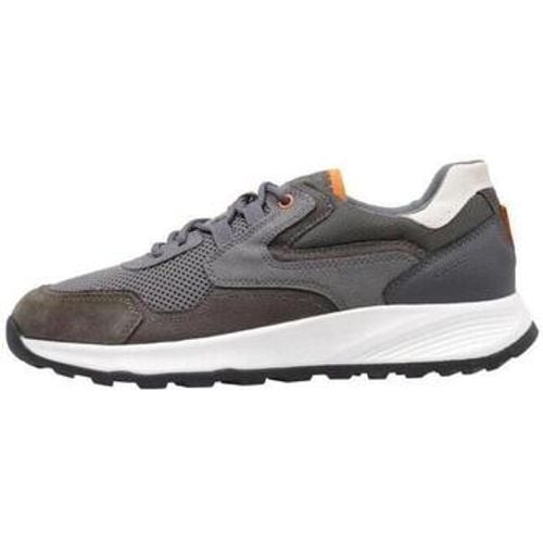 Geox Sneaker U TERRESTRE B - Geox - Modalova