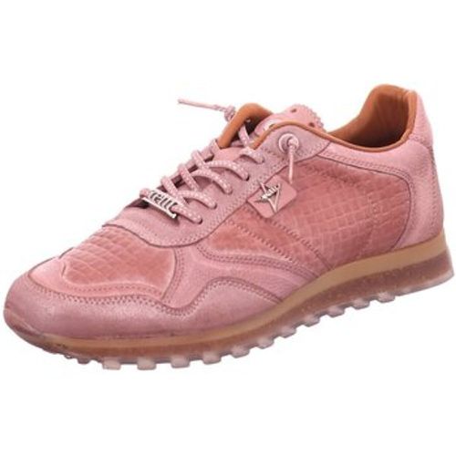 Sneaker C-848-SRA-tin old rose - Cetti - Modalova