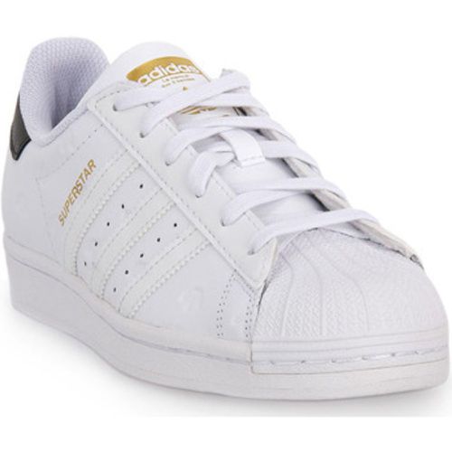 Adidas Sneaker SUPERSTAR W - Adidas - Modalova