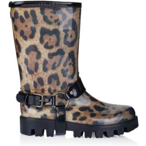 D&G Stiefel C16630 A7196 - D&G - Modalova