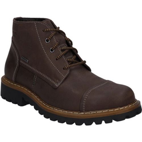 Stiefel Chance 53, mocca - Josef Seibel - Modalova