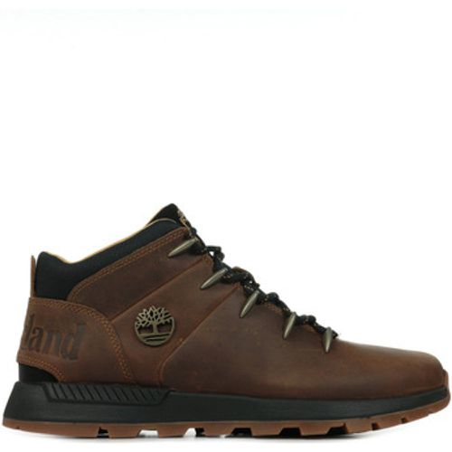 Herrenschuhe Sprint Trekker Mid - Timberland - Modalova